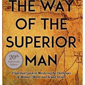 The Way of the Superior Man by David Deida