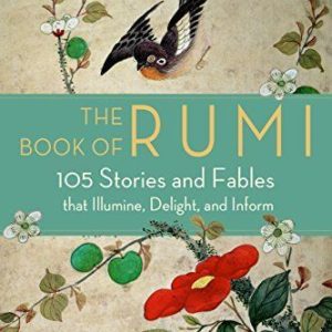 The Book of Rumi: 105 Stories and Fables by Maryam Mafi